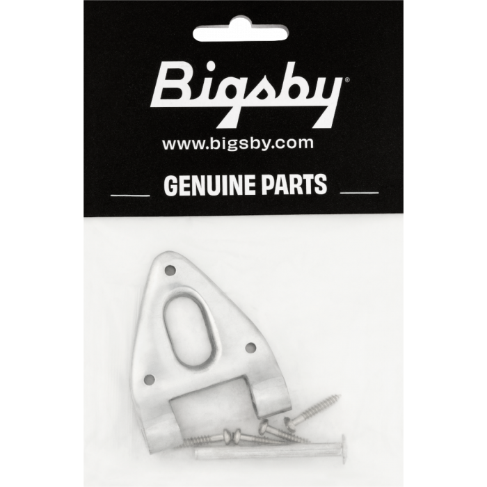 Bigsby Conventional Hinge w/ Hinge Pin and Screws, Polished Chrome, 180-0037-006