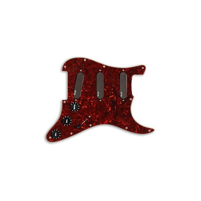 EMG VG20 Vince Gill Prewired/Loaded Guitar Pickguard Set, Tortoise