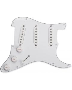 SEYMOUR DUNCAN Prewired/Loaded White Pickguard w/ California 50's SSL-1 Pickups