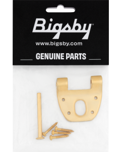 Bigsby Extra Short Hinge, w/ Hinge Pin and Screws, Gold, 180-0042-006