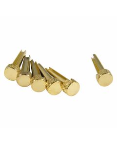 D'Andrea TP1B Acoustic Guitar Tone Pins Gold Brass Bridge Pin Set, Solid Brass