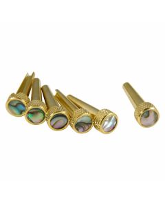 D'Andrea TP2A Acoustic Guitar Bridge Tone Pins Gold Brass Set with Abalone