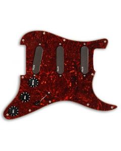 EMG VG20 Vince Gill Prewired/Loaded Guitar Pickguard Set, Tortoise