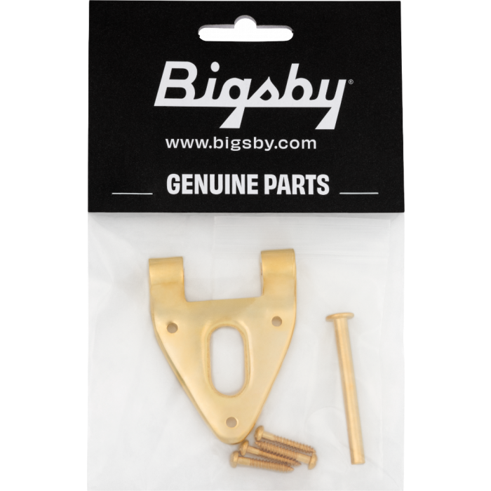 Bigsby Conventional Hinge w/ Hinge Pin and Screws, Gold, 180-0038-006