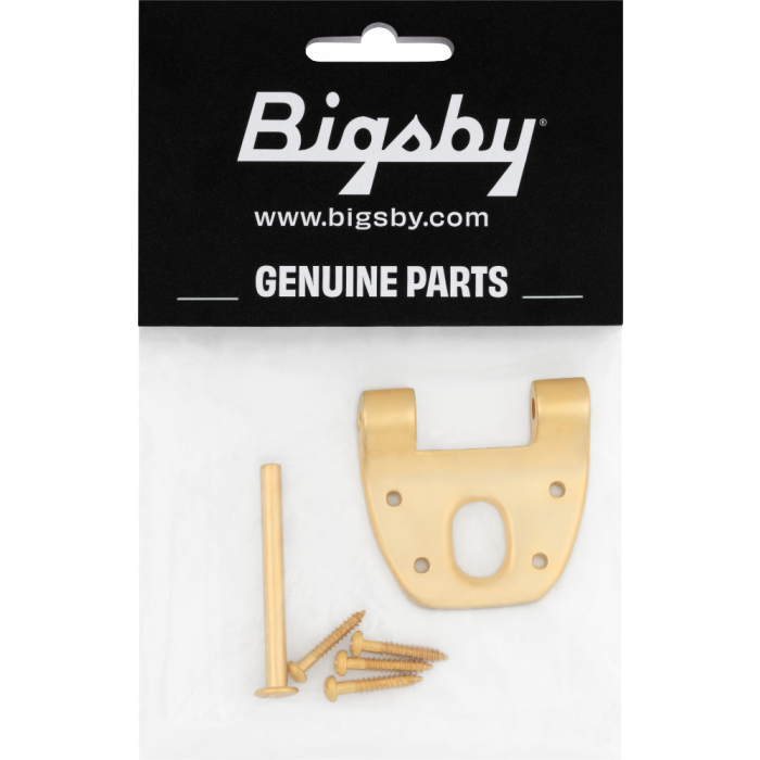 Bigsby Extra Short Hinge, w/ Hinge Pin and Screws, Gold, 180-0042-006