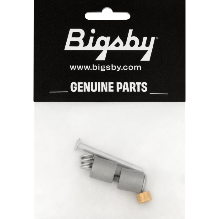 Genuine Bigsby Small Parts Pack Bearing/Spring//Nut/Pins/Stud, Polished Aluminum