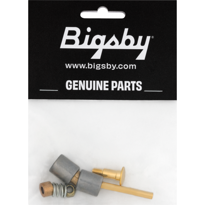 Genuine Bigsby Small Parts Pack Bearing/Spring//Nut/Pins/Stud, Gold